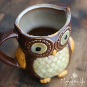 Owl Shape Ceramic Mug for Breakfast