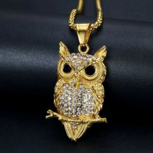 Stainless Steel Titanium Owl Necklace