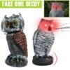 Bird Scarer Owl Decoy Statue