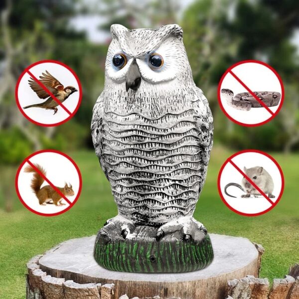 Bird Scarer Owl Decoy Statue